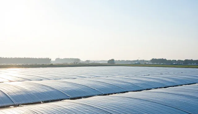 品牌咨询服务如何提升业务匹配效率，优化选型关注点
